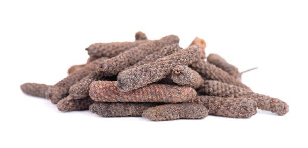 Fresh Organic Long Pepper Organic Long Pepper29-1037705-15239.jpg